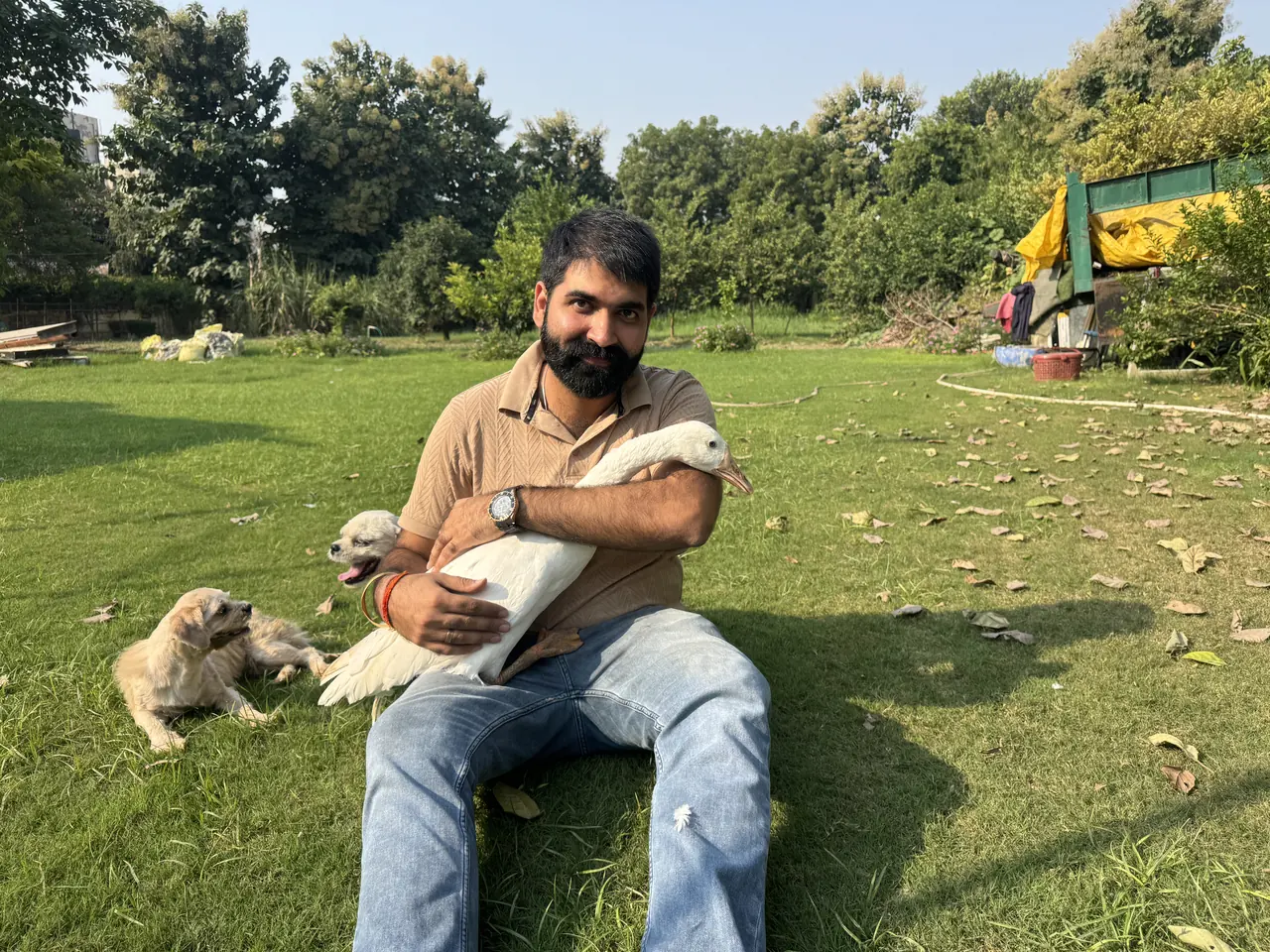 Nikhil sitting on the farm lawn with a white duck and two Golden Retriever pups