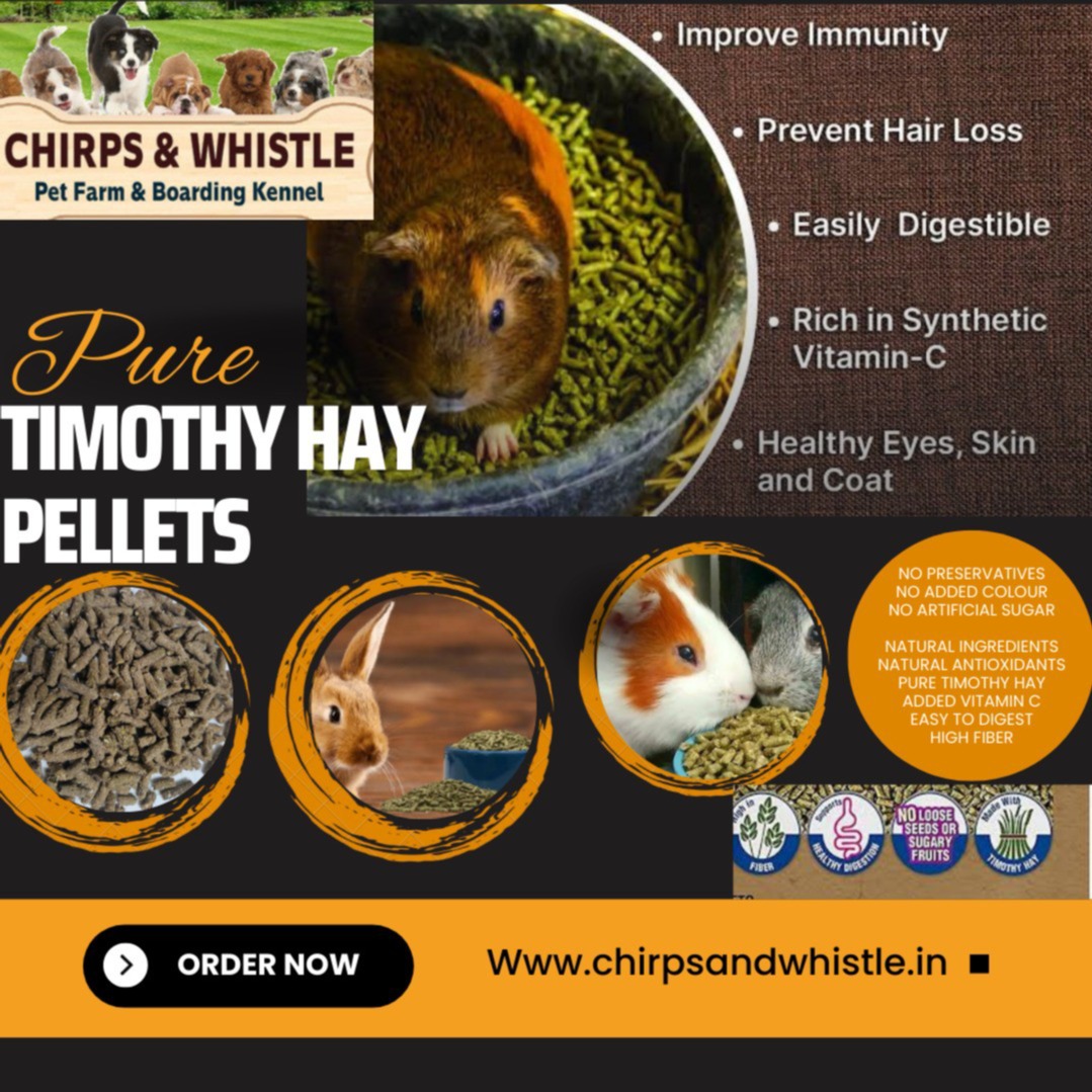Pet products, feeds, and accessories available at Chirps & Whistle Pet Shop in Sector 109 Gurugram near Dwarka Expressway.