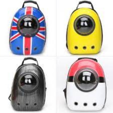 Breathable space capsule Pokeball cat backpack carrier with clear bubble window for small dogs and cats at Chirps & Whistle pet shop in Sector 109 Gurugram.