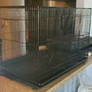 24x16 inch small pet and bird cage with removable slide out base tray at Chirps and Whistle Pet Shop Sector 109 Gurugram near Dwarka Expressway
