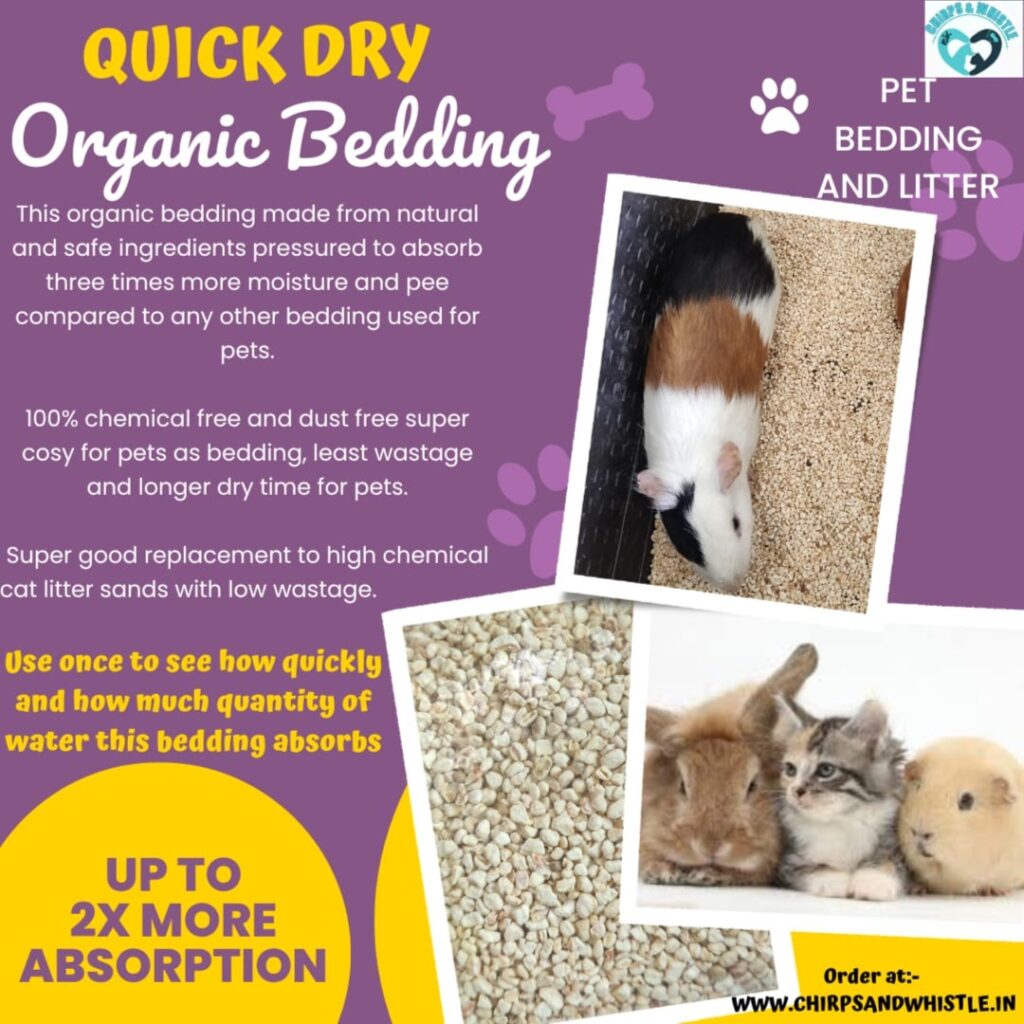 Natural Corn Cob Bedding & Cat Litter Alternative Keep your pet's habitat clean and dry with 100% natural, dust-free Corn Cob Bedding. Engineered to absorb 3x more moisture than standard bedding, it offers longer dry times, minimal wastage, and zero chemicalsβmaking it an ideal bedding for small pets and a natural replacement for chemical cat litter. Available at Chirps & Whistle (Surya Estate Farm, Sector 109, Gurugram) with safe, temperature-controlled doorstep delivery across Delhi NCR. Call/WhatsApp 8178257514 to order!