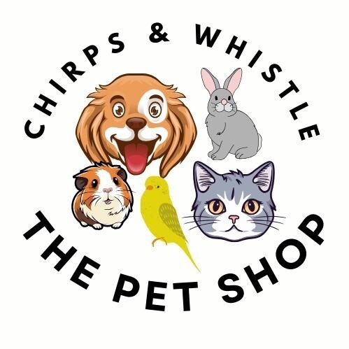 Chirps & Whistle Pet Shop logo featuring a guinea pig, rabbit, puppy, and kitten – pet shop, boarding, and grooming kennel in Sector 109 Gurugram.